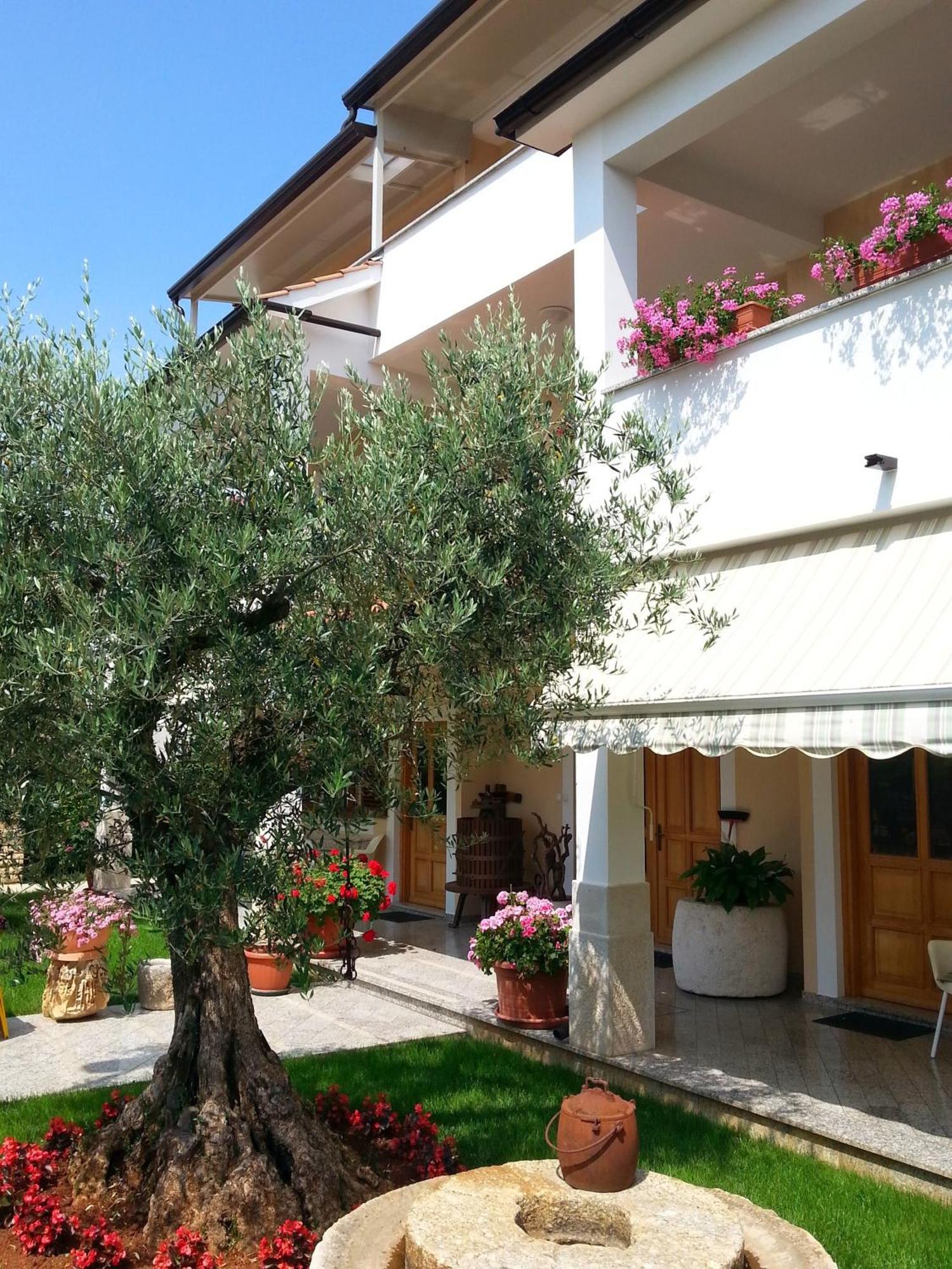 Ulika Rooms & Apartments Poreč Exteriör bild