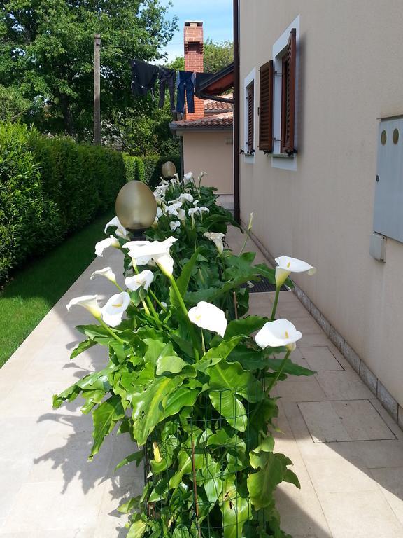 Ulika Rooms & Apartments Poreč Exteriör bild